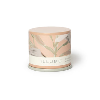 ILLUME COCONUT MILK DEMI TIN